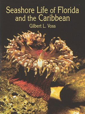 cover image of Seashore Life of Florida and the Caribbean